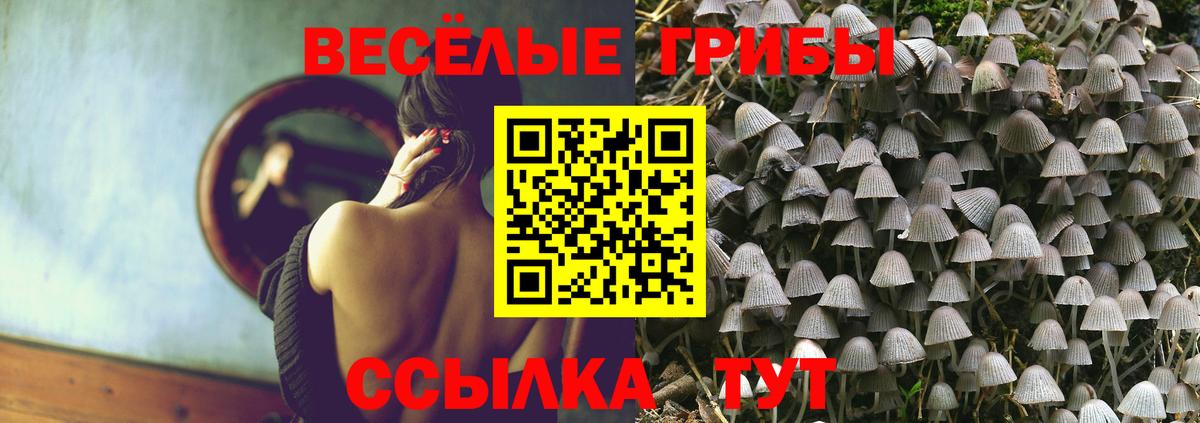 Псилоцибиновые грибы Magic Shrooms  Галлюциногенные грибы Magic Shrooms  Альметьевск  Вход с VPN 